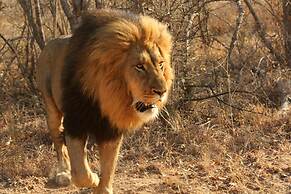 Karongwe - Chisomo Safari Camp