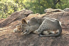 Karongwe - Chisomo Safari Camp