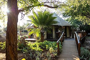 Karongwe - Chisomo Safari Camp