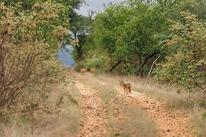 Karongwe - Chisomo Safari Camp