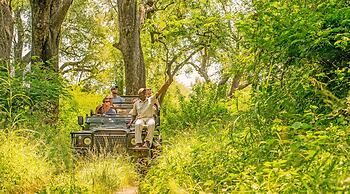 Karongwe - Chisomo Safari Camp