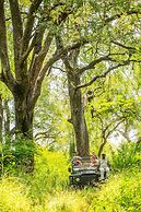 Karongwe - Chisomo Safari Camp