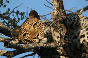 Karongwe - Chisomo Safari Camp