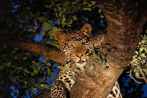 Karongwe - Chisomo Safari Camp