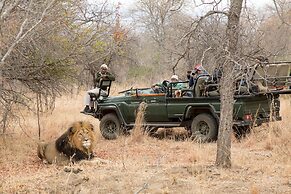 Karongwe - Chisomo Safari Camp