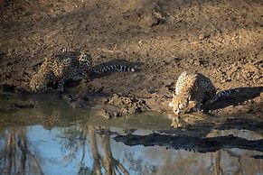 Karongwe - Chisomo Safari Camp