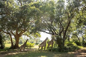 Karongwe - Chisomo Safari Camp