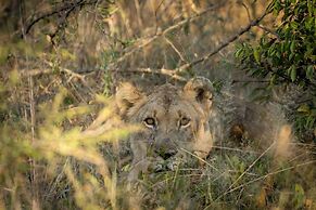 Karongwe - Chisomo Safari Camp