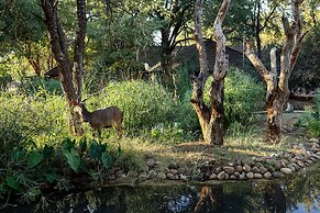 Karongwe - Chisomo Safari Camp