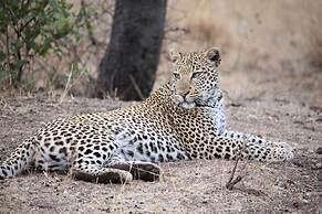 Karongwe - River Safari Lodge