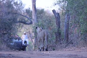 Karongwe - River Safari Lodge