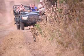 Karongwe - River Safari Lodge
