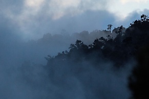 Dantica Cloud Forest Lodge