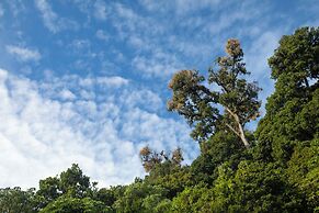 Dantica Cloud Forest Lodge