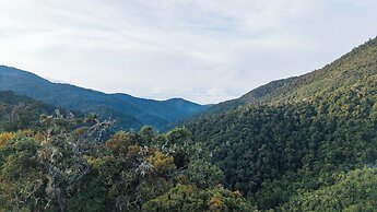 Dantica Cloud Forest Lodge
