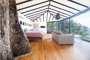 Dantica Cloud Forest Lodge