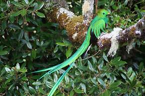 Dantica Cloud Forest Lodge