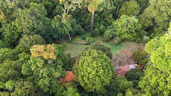 Dantica Cloud Forest Lodge