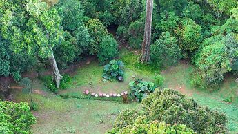 Dantica Cloud Forest Lodge