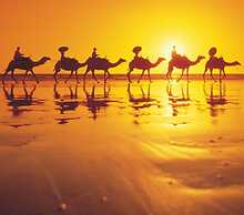 Mantra Frangipani Broome