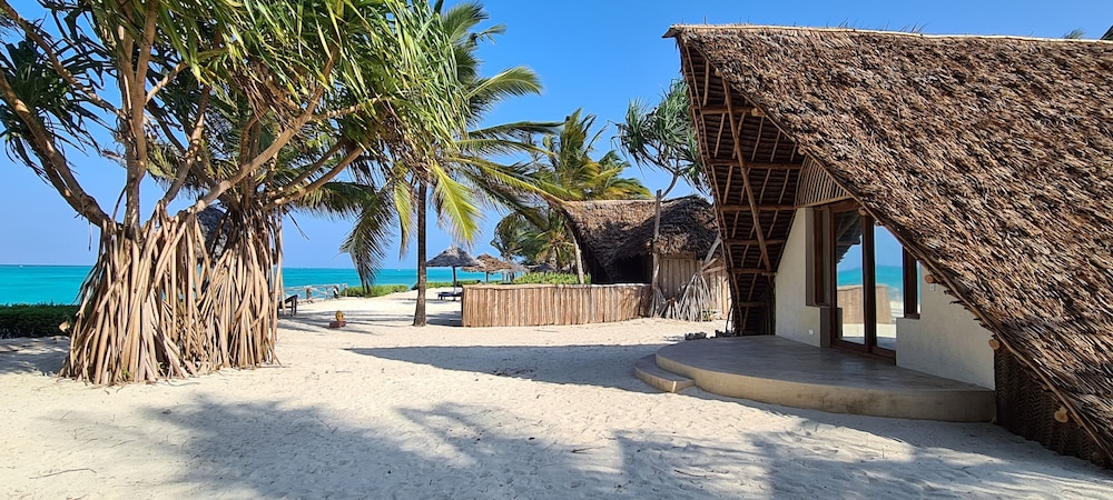The Zanzibari