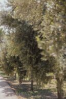 Hotel Rural Can Feliu