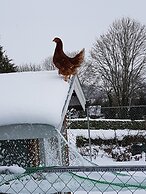 Kilcatten Lodge B&B
