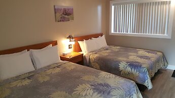 Blue Moon Motel