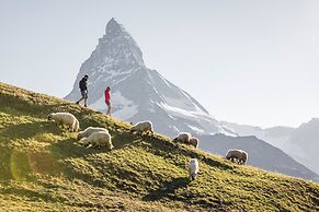 Hotel Monte Rosa