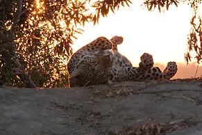 Leopard Mountain Safari Lodge
