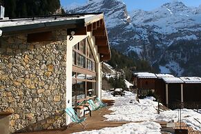 Ternelia - Le Telemark