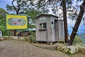 Kasauli Exotica