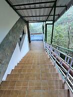 Kasauli Exotica