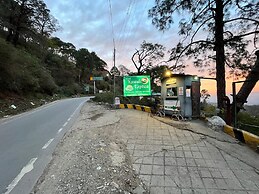 Kasauli Exotica
