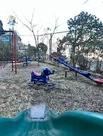 Kasauli Exotica