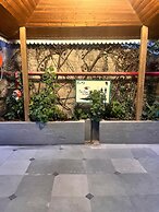 Kasauli Exotica