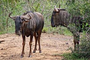 Bonamanzi Game Reserve