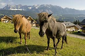 Almdorf Reiteralm