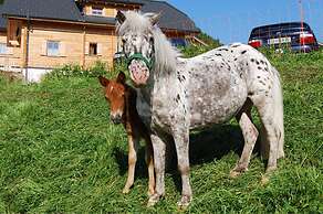 Almdorf Reiteralm