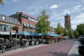 Het Wapen van Elst