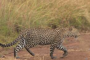 Black Rhino Game Lodge