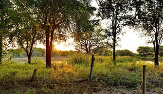Black Rhino Game Lodge