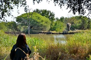 Black Rhino Game Lodge