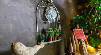 Hôtel Green Ecolodge