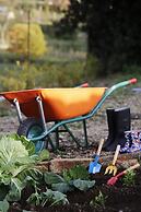Solar Egas Moniz Charming House & Local Experiences
