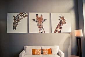 Boulcott Suites