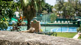 Hotel Coral Cuernavaca