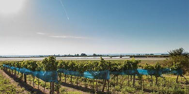 Wein & Landhaus Willi Opitz