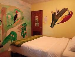 Biohostal Mindo Cloud Forest