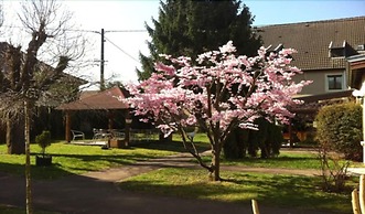 Hôtel les Tilleuls-Montbéliard Sud-Audincourt